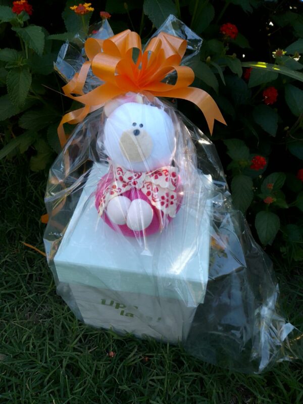 CAJA REGALO PELUCHE UPALALA 04/25